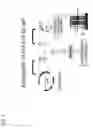 Fig. 03 - Biosensor using cell that expresses chemosensory receptor that can detect sugar, and alzheimer's disease diagnostic apparatus comprising same