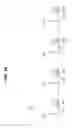 Fig. 04 - Method and apparatus for multi-slice imaging of T2-relaxation time