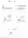 Fig. 02 - Formation of antireflective surfaces