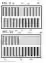 Fig. 06 - Reference System for Fiber Optic Cables