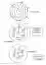 Fig. 10 - Camera methods and apparatus using optical chain modules which alter the direction of received light