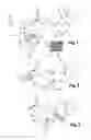 Fig. 02 - Method and device for detecting the position of the face of a person, in particular of a motor vehicle driver, and display including such a device
