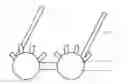 Fig. 01 - Wearable apparatus, detection system and detection method
