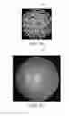 Fig. 10 - Imaging apparatus and imaging method