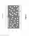 Fig. 02 - Additive particles for improving optical performance of an electrophoretic display