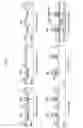 Fig. 07 - Multi-electrode photonic digital to analog converting vector modulator
