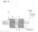 Fig. 16 - Display device