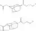Fig. 101 - Compound, resin, resist composition and method for producing resist pattern