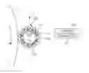 Fig. 01 - Conducting brush and image forming device