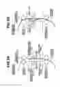 Fig. 04 - Image forming apparatus and recording material determination unit