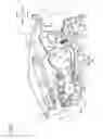 Fig. 04 - Image forming apparatus having spacing configuration for process cartridge