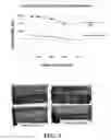 Fig. 04 - Systems and methods for optimizing formation fracturing operations
