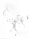 Fig. 07 - Launch-controlled unmanned aerial vehicles, and associated systems and methods