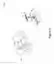 Fig. 12 - SYSTEM AND METHOD FOR CONTROL BASED ON FACE OR HAND GESTURE DETECTION
