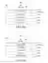 Fig. 21 - METHOD FOR PROVIDING HAPTIC EFFECT IN ELECTRONIC DEVICE, MACHINE-READABLE STORAGE MEDIUM, AND ELECTRONIC DEVICE