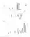 Fig. 10 - Optimizing intermediate representation of script code for fast path execution