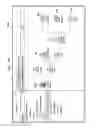 Fig. 14 - DYNAMIC PROVISIONING OF A VIRTUAL TEST ENVIRONMENT