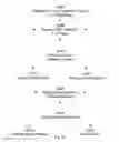 Fig. 16 - Visual Hierarchy Navigation System