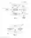 Fig. 04 - Generation of a semantic model from textual listings