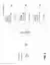 Fig. 02 - File classification in a distributed file system
