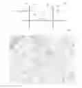 Fig. 01 - Searching for a map using an input image as a search query