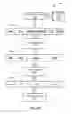 Fig. 11 - AESTHETICS DATA IDENTIFICATION AND EVALUATION