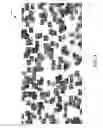Fig. 04 - Data object classification using feature generation through crowdsourcing