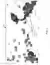 Fig. 06 - Data object classification using feature generation through crowdsourcing