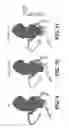 Fig. 08 - Method and system for image processing to determine patient-specific blood flow characteristics