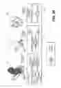 Fig. 25 - Method and system for image processing to determine patient-specific blood flow characteristics