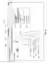 Fig. 17 - SYSTEMS AND METHODS FOR AUTOMATICALLY EVALUATING MEDICAL PATIENT SYMPTOMS AND PROVIDING TAILORED PRESCRIPTIONS
