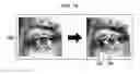Fig. 15 - Method and apparatus for extracting facial feature, and method and apparatus for facial recognition
