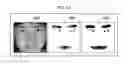 Fig. 17 - Method and apparatus for extracting facial feature, and method and apparatus for facial recognition