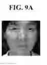 Fig. 19 - Method and apparatus for extracting facial feature, and method and apparatus for facial recognition