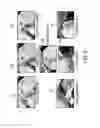 Fig. 06 - ADAPTIVE SAMPLING FOR EFFICIENT ANALYSIS OF EGO-CENTRIC VIDEOS