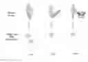 Fig. 01 - System and method for video content analysis using depth sensing