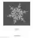 Fig. 09 - Methods and systems for differentiating synthetic and non-synthetic images