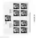 Fig. 13 - Methods and systems for differentiating synthetic and non-synthetic images