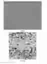 Fig. 11 - Means for using microstructure of materials surface as a unique identifier
