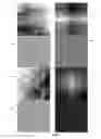 Fig. 16 - Means for using microstructure of materials surface as a unique identifier
