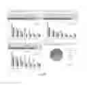 Fig. 13 - DIGITAL DATA SYSTEM FOR PROCESSING, MANAGING AND MONITORING OF RISK SOURCE DATA