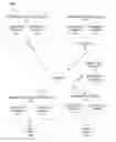 Fig. 01 - System and method of social cash withdrawal