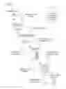 Fig. 02 - Systems and methods for detecting transaction card fraud based on geographic patterns of purchases