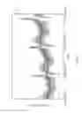 Fig. 06 - EMD-Spectral Prediction (ESP)