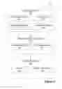 Fig. 07 - CUSTOMER TRANSACTION PROMPTING ADVERTISEMENT PRESENTMENT AND IMPRESSIONS
