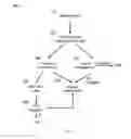 Fig. 06 - DETECTION OF EXIT BEHAVIOR OF AN INTERNET USER