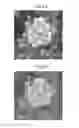 Fig. 19 - IMAGE PROCESSING APPARATUS, IMAGE PROCESSING METHOD, PROGRAM, PRINTING MEDIUM, AND RECORDING MEDIUM