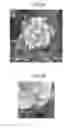 Fig. 20 - IMAGE PROCESSING APPARATUS, IMAGE PROCESSING METHOD, PROGRAM, PRINTING MEDIUM, AND RECORDING MEDIUM