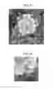 Fig. 21 - IMAGE PROCESSING APPARATUS, IMAGE PROCESSING METHOD, PROGRAM, PRINTING MEDIUM, AND RECORDING MEDIUM