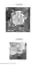Fig. 22 - IMAGE PROCESSING APPARATUS, IMAGE PROCESSING METHOD, PROGRAM, PRINTING MEDIUM, AND RECORDING MEDIUM
